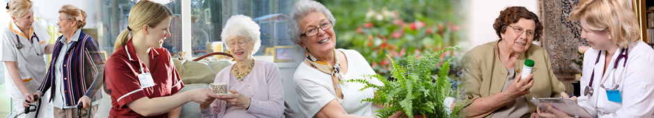 caregiver and elder, elder woman holding a plant, elder and doctor